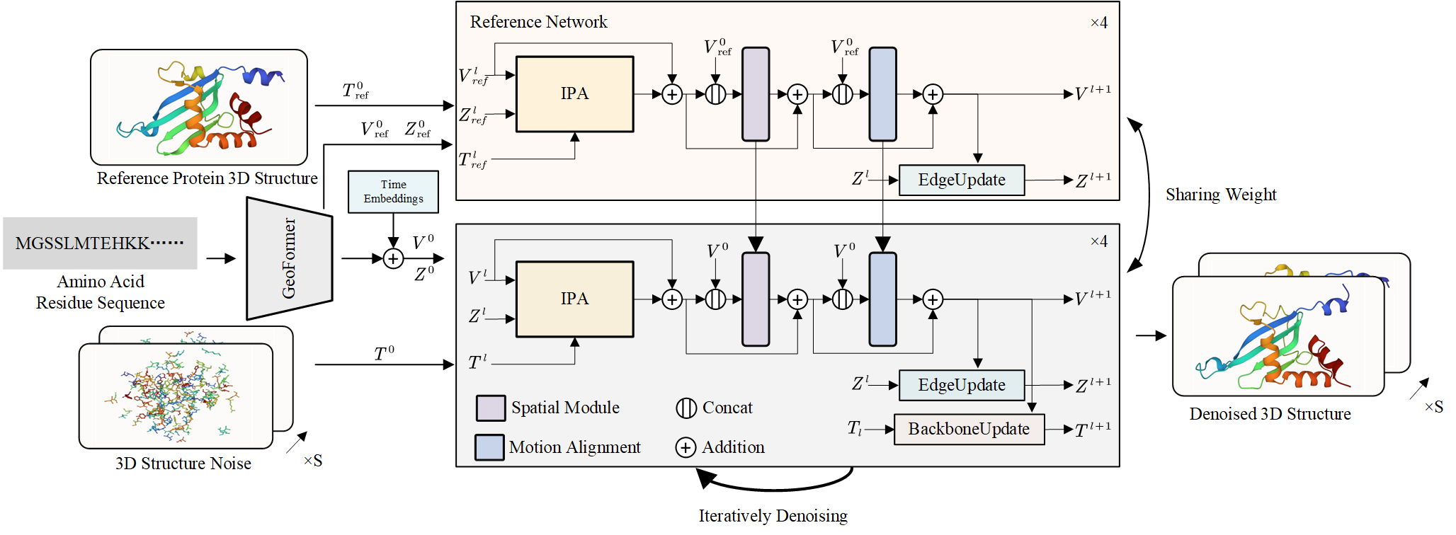 Protein Dynamics